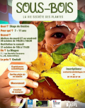 Stage de théâtre à la Blague