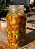 Initiation à la lactofermentation à la Semeuse